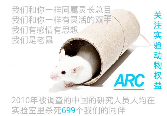 图为ARC海报，点击阅读ARC中文动保小百科科普文章，了解老鼠和人类类似的感情和思想