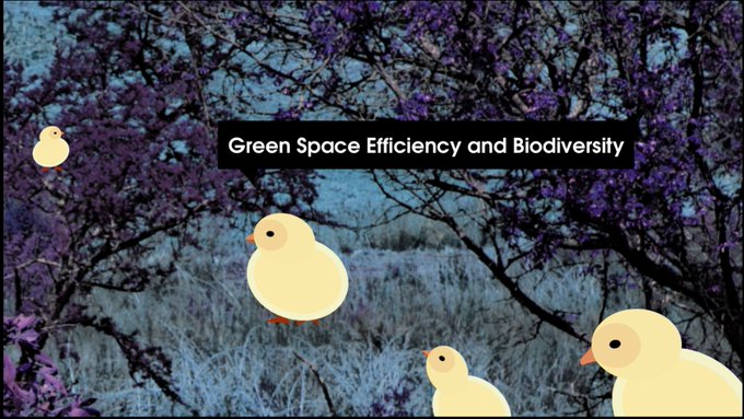 Green space efficiency and biodiversity (2020)